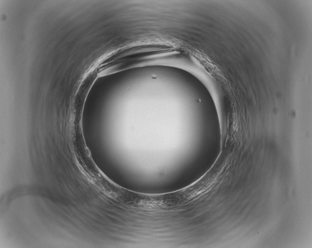 X0000087690440200705041042