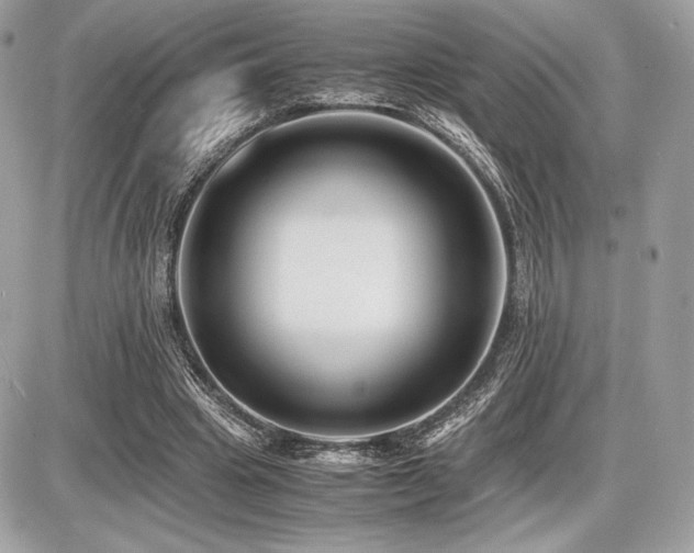 X0000087690441200705041042