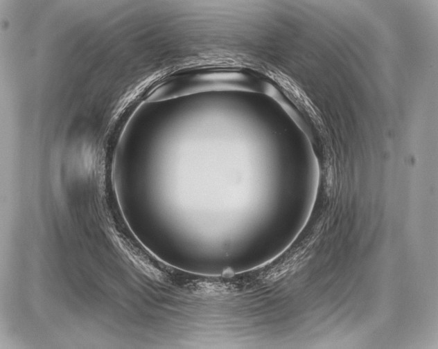 X0000087690442200705041042
