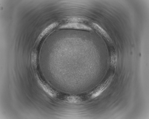 X0000087690444200705041042