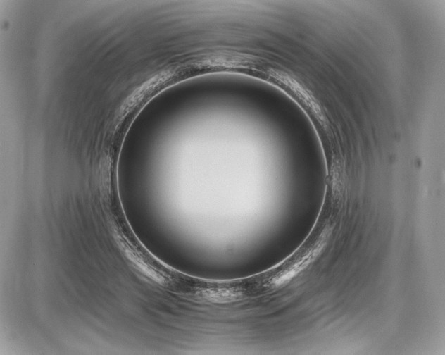 X0000087690445200705041042