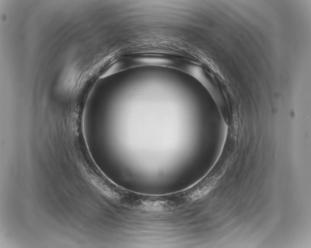 X0000087690450200705041042