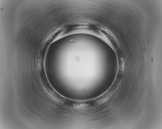 X0000087690452200705041042