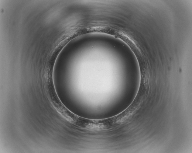 X0000087690455200705041042