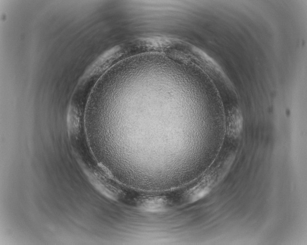 X0000087690456200705041042
