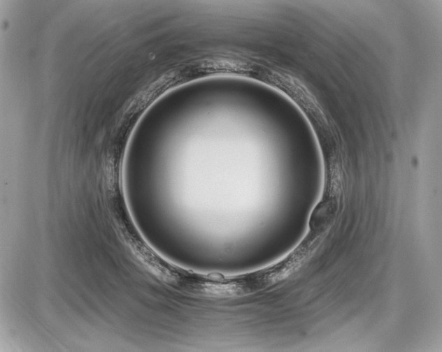 X0000087690457200705041042