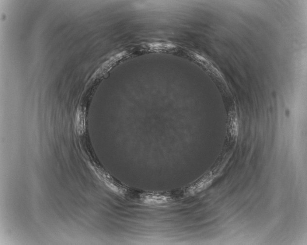 X0000087690471200705041042