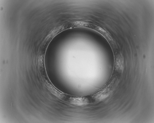 X0000087690473200705041042
