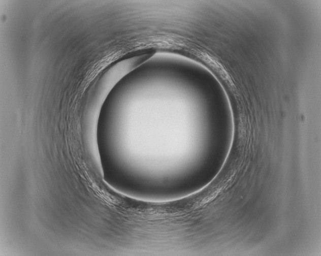 X0000087690481200705041042