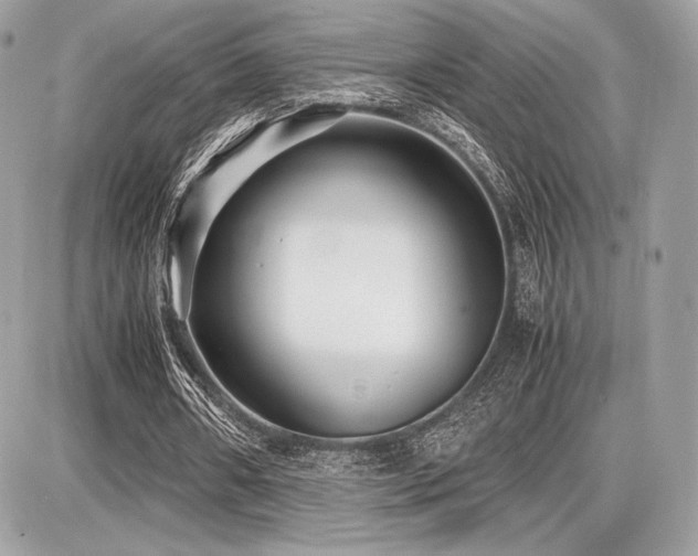 X0000087690482200705041042