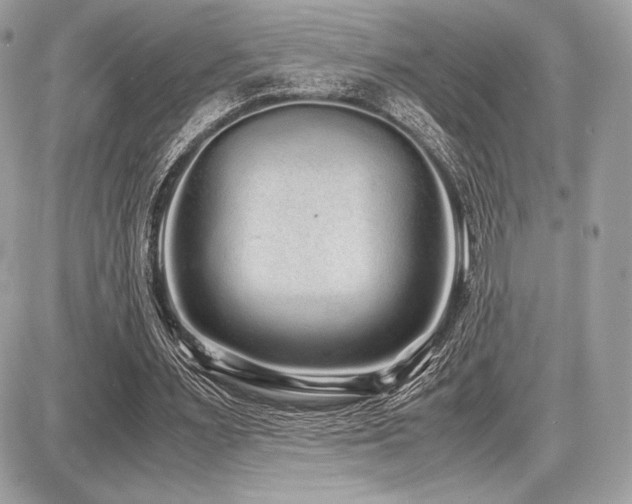 X0000087690483200705041041