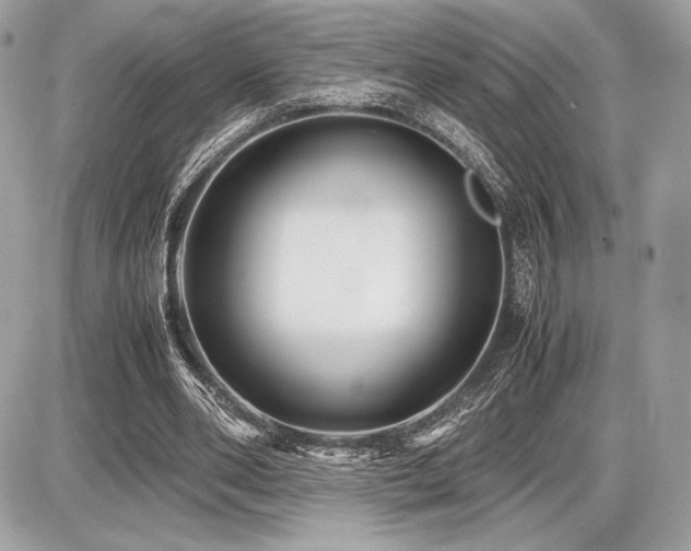 X0000087690486200705041041