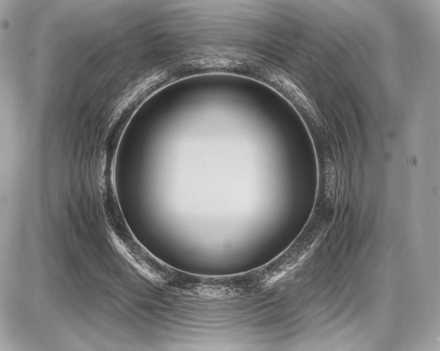X0000087690490200705041041
