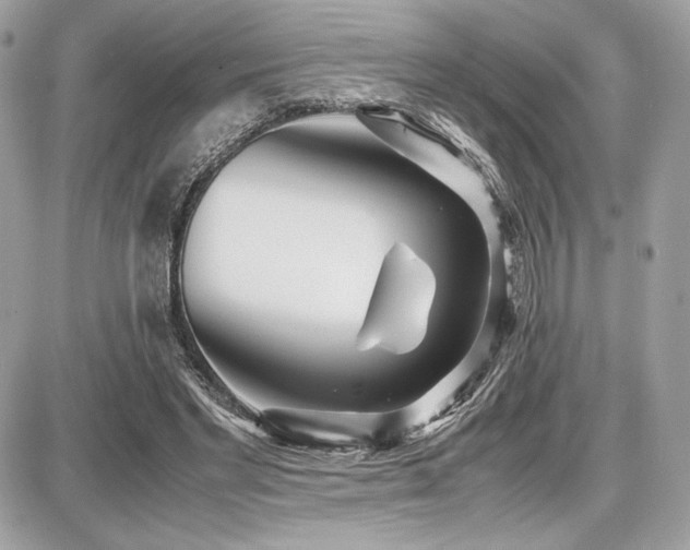 X0000087690493200705041041