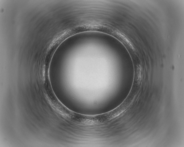 X0000087690494200705041041