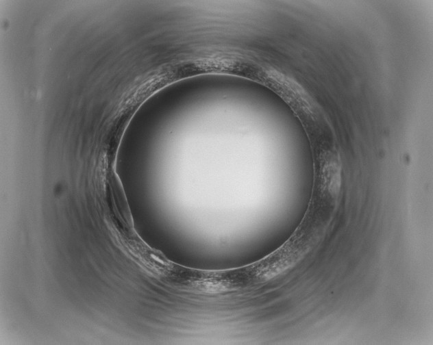 X0000087690498200705041041