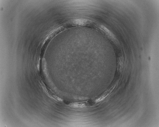 X0000087690500200705041041