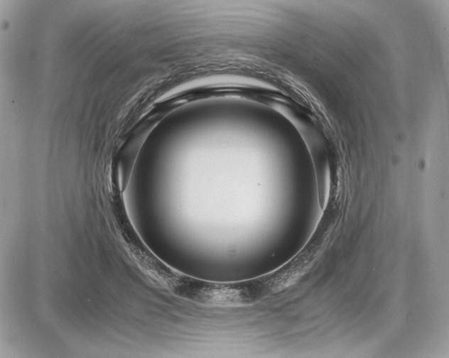 X0000087690501200705041041