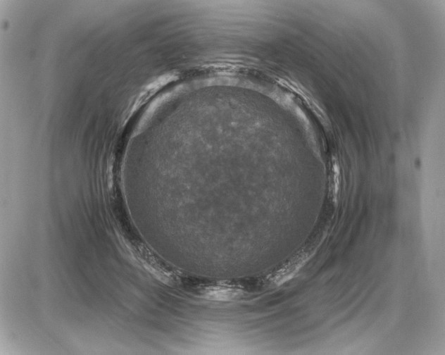 X0000087690504200705041041