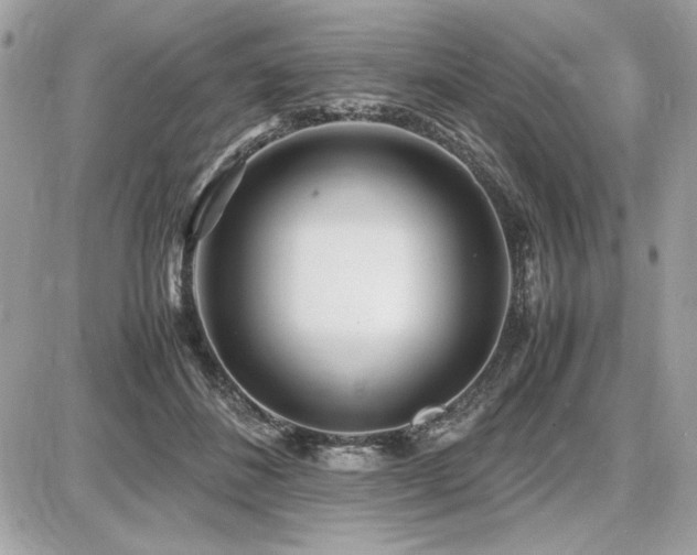 X0000087690508200705041041