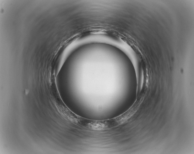 X0000087690512200705041041