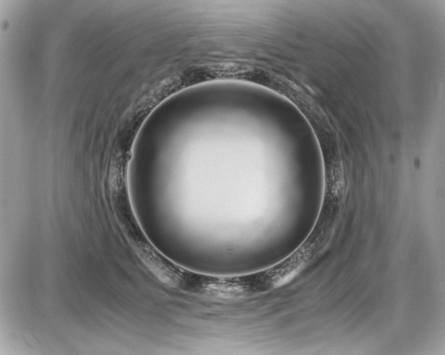 X0000087690515200705041041