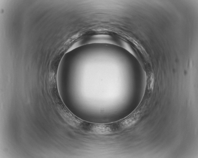 X0000087690521200705041041