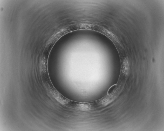 X0000087690522200705041041