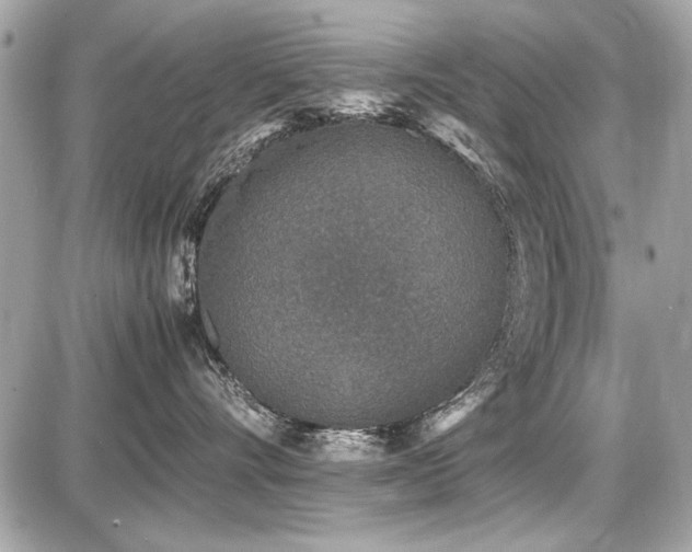 X0000087690528200705041041