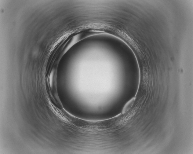 X0000087690530200705041040