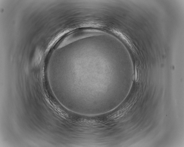 X0000087690531200705041040