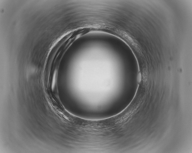 X0000087690532200705041040
