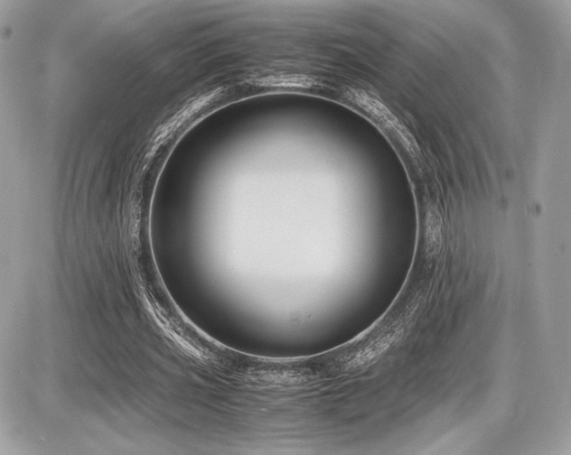 X0000087690533200705041040