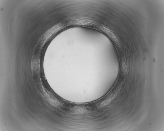 X0000087690534200705041040