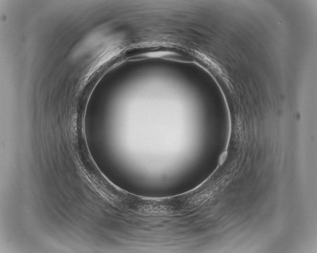 X0000087690535200705041040