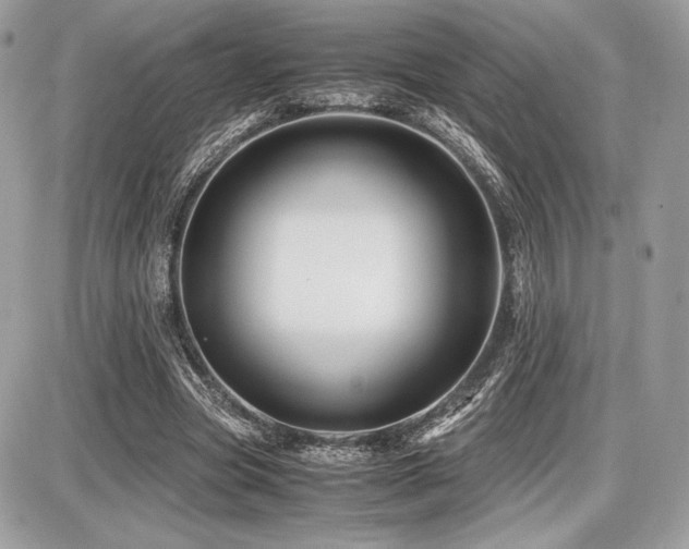X0000087690537200705041040