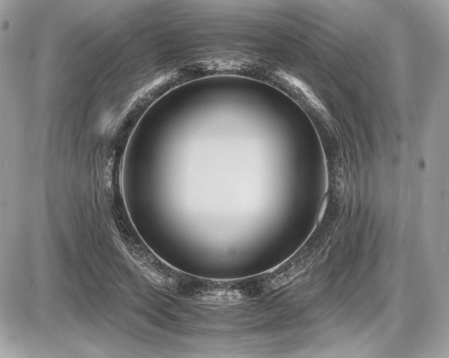 X0000087690543200705041040