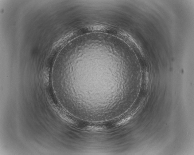 X0000087690545200705041040