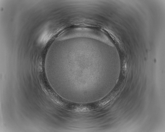 X0000087690547200705041040