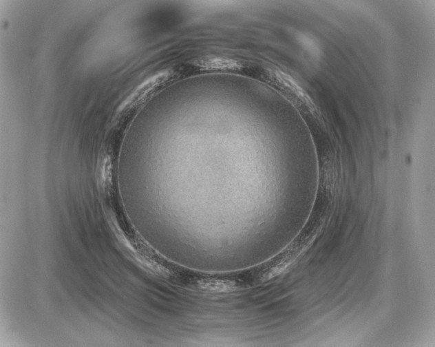 X0000087690549200705041040