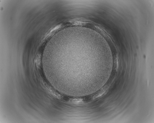 X0000087690554200705041040