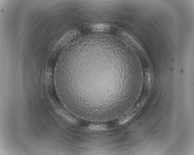 X0000087690557200705041040