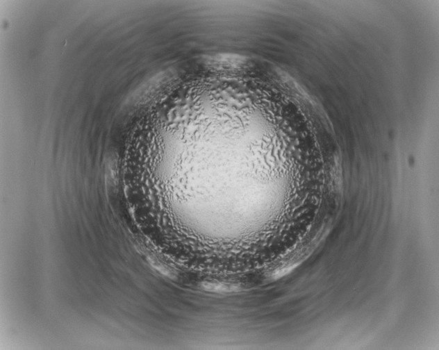 X0000087690561200705041040