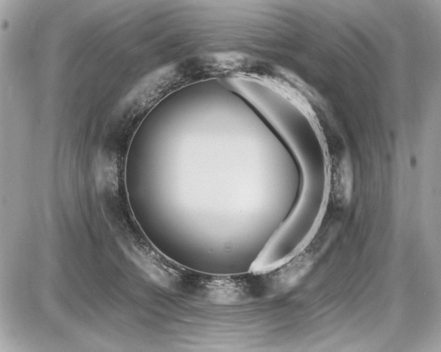 X0000087690562200705041041