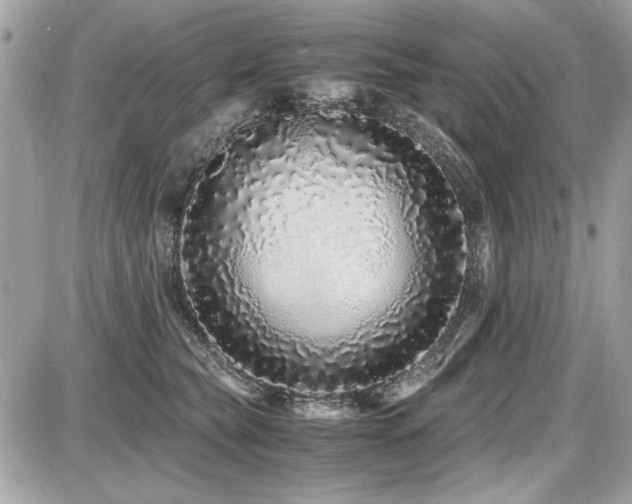 X0000087690565200705041041