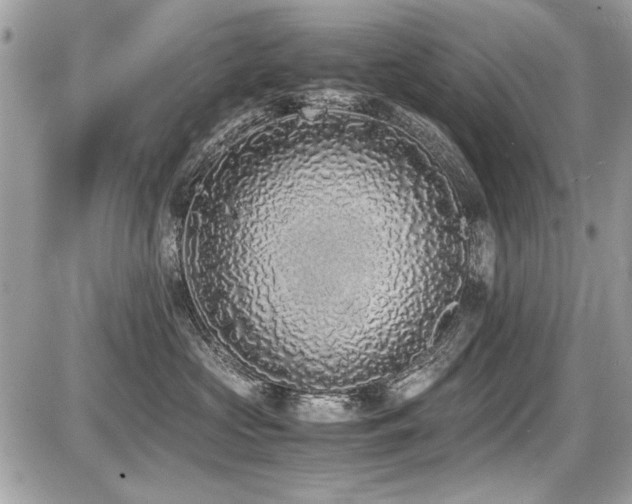 X0000087690573200705041041