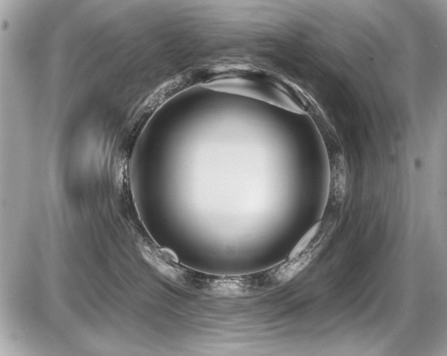 X0000087690574200705041041