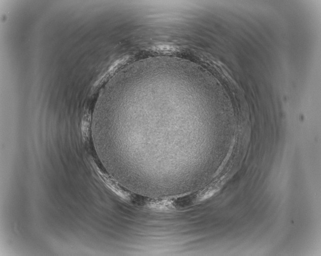 X0000087690576200705041041