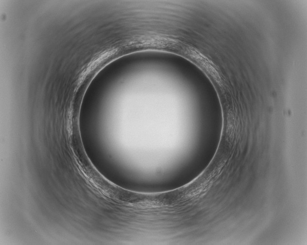 X0000087690578200705041040