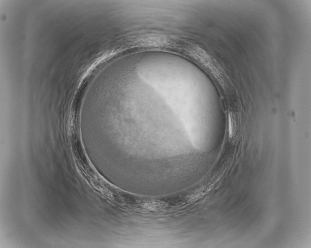 X0000087690579200705041040